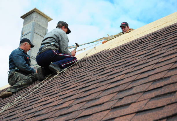 Best Roof Gutter Cleaning  in Burns, TN